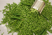 Green Bean Nutrition
